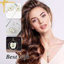 Dried White Pansy Flowers