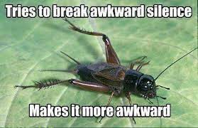 Insect sounds compilation 19 insects. Imagining The Cricket Sound In Your Head During Awkward Moments Posts Facebook