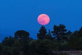 The strawberry moon, specifically, generally refers to the full moon in june — which is the last full moon of spring, or the first of summer, depending on when it lands. W4ofgwan6pu3im