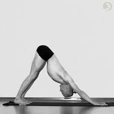 Heels reach the ground in the final version of the posture. Adho Mukha Shvanasana Ashtangayoga Info