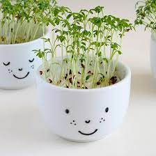 Diy Cress Cups With A Face By Wilma Diy Sharpie Crafts Spring Decor Diy Crafts For Teens To Make