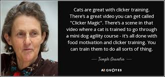 Clicker training is a method that has proven to be successful among cats and kittens, and with a little practice, your kitty can be showing off their new skills for friends and family. Temple Grandin Quote Cats Are Great With Clicker Training There S A Great Video