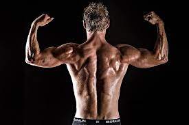 Forget monthly subscriptions and expensive gym equipment. Sport Fitness Muscle Training Muscles Muskeln Rucken Backside Body Gym Health Pikist