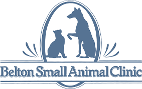 Call our clinic today to schedule an. Veterinarians Animal Hospital In Belton Tx Belton Small Animal Clinic