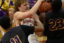 Shenendehowa's Roberts no-hits Averill Park