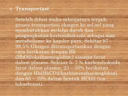 Hipokalemia atau rendahnya kadar kalium dalam darah, juga sering menyertai alkalosis metabolik. Sistem Transportasi Ppt Download
