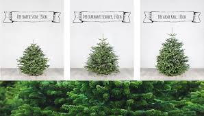 Weihnachtsbaum kaufen ✅ mit exklusivem gutscheincode für ihr gratis. Weihnachtsbaum Kaufen Karl Kommt Per Kurier Captain Gadget