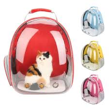 Todo Para Gatos Panosundaki Pin