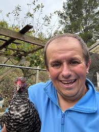 Gallinas I Pollitos Den Vicent