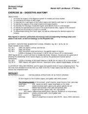 Digestive System Processes Chemical And Physical Exercise 39