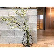 ニトリ のグッズでグリーンを飾ろう おしゃれな花瓶やフェイクグリーンなどご紹介 folk ニトリ インテリア 玄関 植物 リビング インテリア