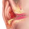 Explore a wide range of the best bath ear on aliexpress to find one that suits you! 3