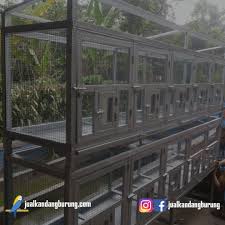 Selamat pagi sahabat burung lovebird. Produk Archives Jual Kandang Burung Besi Besar Custom Se Jabodetabek