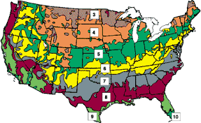 But what happens if you really like a plant and you're only one zone outside of the recommended hardiness zone? Find Zone Breck S Gifts