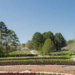 Serenbe Farms Tour — Serenbe Farms
