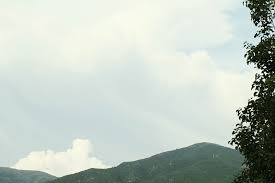 Kevin mcclatchy, elizabeth kell, owen szabo, mandi kreisher. Film Simulation Settings Fuji X Weekly