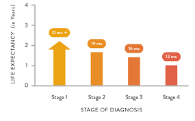 Regional breast cancer has spread to. Peritoneal Mesothelioma Survival Rate Medical Society