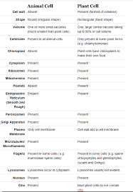 We would like to show you a description here but the site won't allow us. Do Animal Cells Have Cell Walls Quora