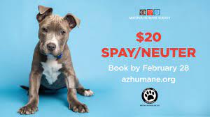 Maybe you would like to learn more about one of these? Where To Get Dog Neutered For Free Off 57 Www Usushimd Com