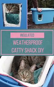 How to handle a stray cat. Make This Weatherproof Insulated Cat Shelter To Keep Your Cat Cozy Outdoors