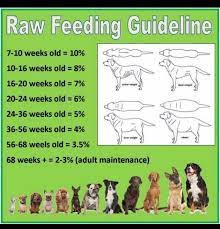 Per week or about 10 lbs per month. Raw Feeding Guidelines Raw Feeding Raw Feeding For Dogs Dog Raw Diet