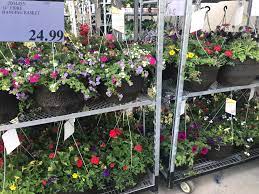 Known for its great deals and large variety of products and services, costco is a destination shopping centre. Costco Garden Centre Deals Costco West Fan Blog