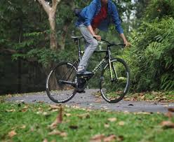 Size s, m, l and xl. The Beginner S Guide To Hipster Fixie Bikes In Singapore And Where To Buy Them City Nomads