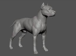 pitbull real time 3d model