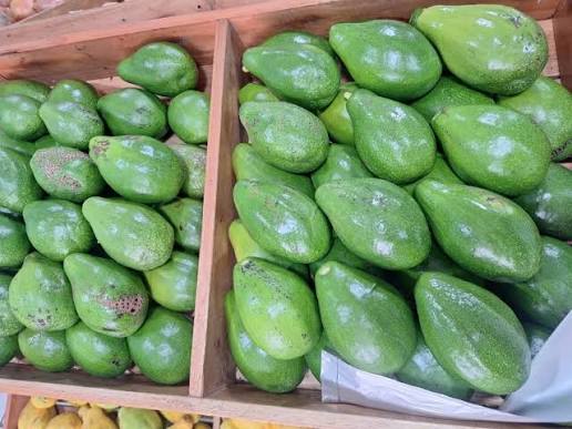 Abacate Manteiga 1 Kg