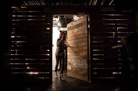 Image result for speakeasy