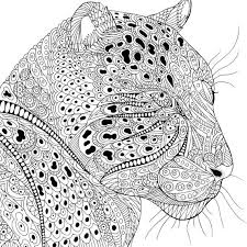 Browse free animal coloring pages & color the picture of your favorite animal. Beautiful Pattern Of Animal Coloring Book Illustrated By Claire Scully And Richard Merritt Animal P Animal Coloring Books Coloring Books Mandala Coloring Pages