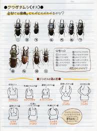 北村わさびのＢＬＯＧ
