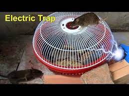 Best Electric Rat Trap Electric Mouse Trap Homemade Electric Rat Trap With Battery 12v Youtube Electric Mouse Trap Mouse Traps Rat Traps