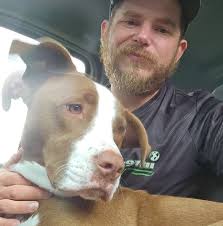 Best 3ds emulator? Gonna get into some Pokemon games I've never played  before