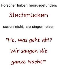 Stechmucken Singen Mit Bildern Witzige Spruche Spruche Lustige Spruche