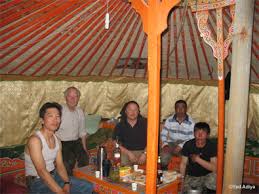 Image result for Excoecaria bussei