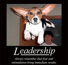 Funny Leadership Quotes. QuotesGram via Relatably.com