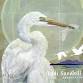 Lodi Sandhill Crane Festival — Orphan Girl Fine Art event image