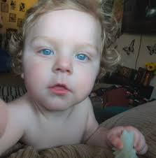 Similac Total Comfort for twins in Burton?