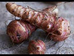 Jul 10, 2013 · tags: Oklahoma Edible Plant Basic Wilderness Survival Youtube