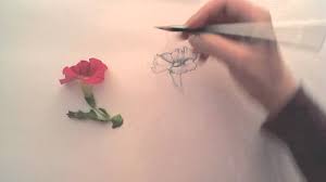 Val Webb - The Illustrated Garden - Drawing Petunias - Youtube
