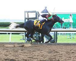 Saudi arabia first opened the gates to the international horse racing community in 2020, when maximum security powered to victory at king abdulaziz. Knicks Go 2021 Kentucky Derby Oaks April 30 And May 1 2021
