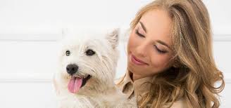 Apartments Silver Lake