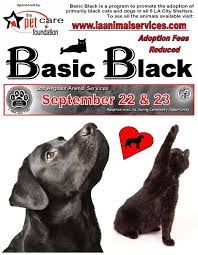 Pet Care Foundation With Images California Dog Pet Care Pets