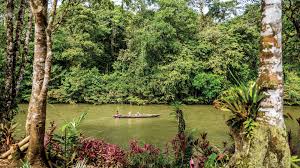 Apu-purina, heritage forest