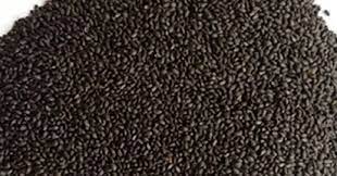 Cara mengolah biji selasih yang benar. Manfaat Dan Cara Mengolah Biji Selasih Kering Yang Benar