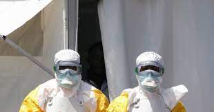 Marburg virus was first recognized in 1967, when outbreaks of hemorrhagic fever occurred simultaneously in the reservoir host of marburg virus is the african fruit bat, rousettus aegyptiacus. Ubwn4shaexxssm