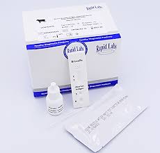 All rapid antigen tests in hsc common list. Bovine Brucella Antigen Rapid Test Rapid Labs