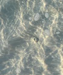 The world has gone mad!