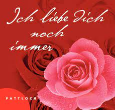 Ich liebe dich is the fourth and final single released by german band la düsseldorf. Ich Liebe Dich Noch Immer 9783629102102 Amazon Com Books